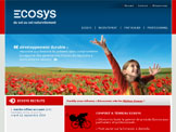 site internet Ecosys